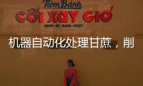 機器自動化處理甘蔗，削皮切段一氣呵成，提升生產(chǎn)效率與作業(yè)安全