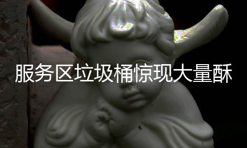 服務(wù)區(qū)垃圾桶驚現(xiàn)大量酥肉臘味，美食浪費(fèi)現(xiàn)象引發(fā)社會關(guān)注
