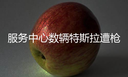 服務(wù)中心數(shù)輛特斯拉遭槍擊火焚 馬斯克：瘋狂且錯誤