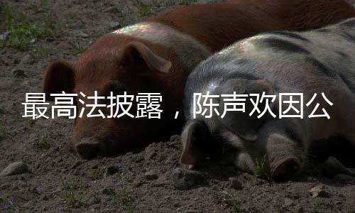 最高法披露，陳聲歡因公犧牲，司法英雄用生命詮釋職責(zé)使命