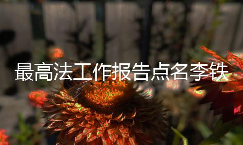 最高法工作報(bào)告點(diǎn)名李鐵杜兆才案，揭開內(nèi)幕，維護(hù)法治公正