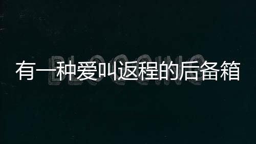 有一種愛叫返程的后備箱