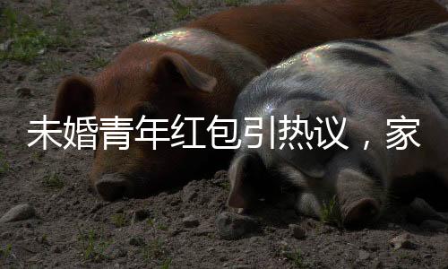 未婚青年紅包引熱議，家族親情與個(gè)人財(cái)產(chǎn)的微妙平衡