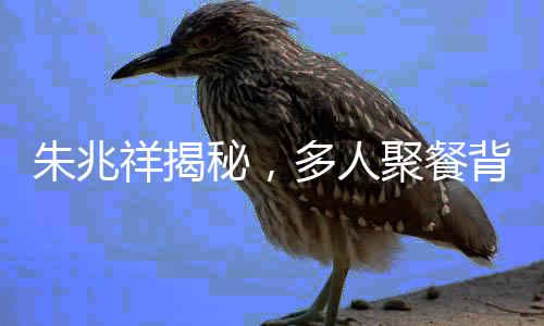 朱兆祥揭秘，多人聚餐背后的真實(shí)目的，究竟是為了見胡靜？