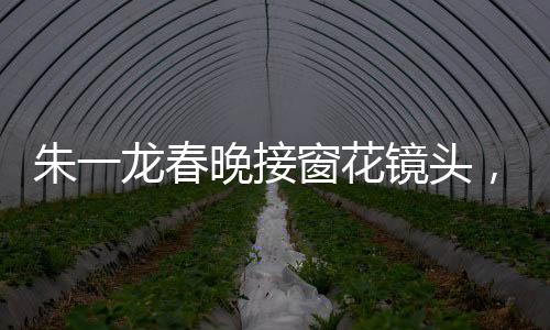 朱一龍春晚接窗花鏡頭，細(xì)節(jié)之處展現(xiàn)精湛演技，共錄20次展現(xiàn)完美時(shí)刻
