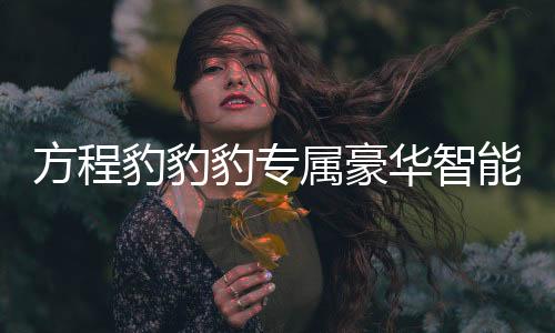 方程豹豹豹專(zhuān)屬豪華智能駕駛體驗(yàn)重磅揭曉 —— 一次突破創(chuàng)新的出行革新之旅