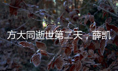 方大同逝世第二天，薛凱琪唱歌爆哭，緬懷音樂傳奇