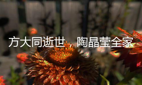 方大同逝世，陶晶瑩全家悲痛悼念