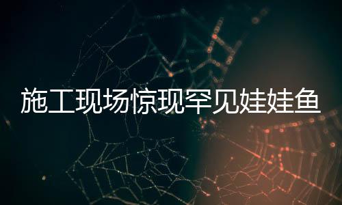 施工現場驚現罕見娃娃魚，一條魚的奇幻之旅揭秘保護之路