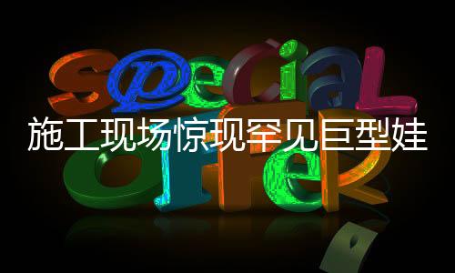 施工現(xiàn)場驚現(xiàn)罕見巨型娃娃魚，生態(tài)保護的珍貴見證