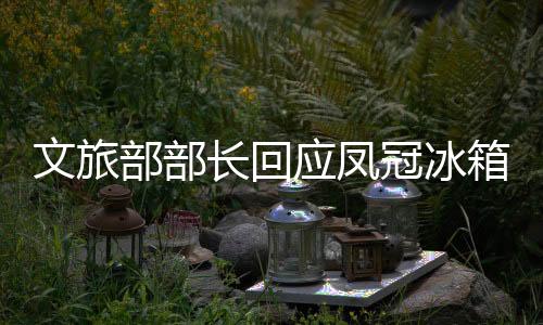 文旅部部長(zhǎng)回應(yīng)鳳冠冰箱貼走紅現(xiàn)象