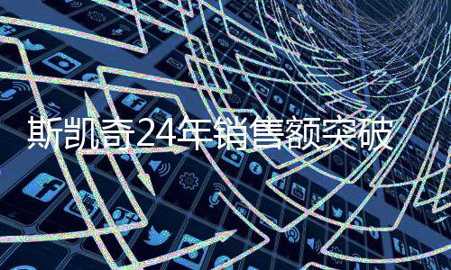 斯凱奇24年銷售額突破89.7億大關(guān)，探討品牌成功的秘訣