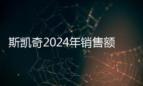 斯凱奇2024年銷售額突破89.7億大關(guān)，業(yè)績穩(wěn)步增長的背后