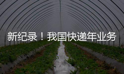 新紀(jì)錄！我國(guó)快遞年業(yè)務(wù)量首次突破150000000000件：人均收超100件