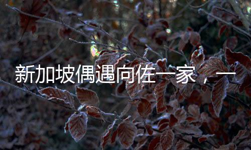 新加坡偶遇向佐一家，一次意外的驚喜之旅