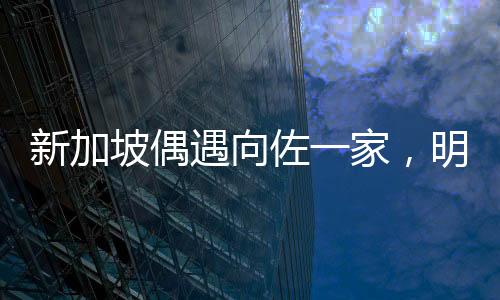 新加坡偶遇向佐一家，明星家庭的溫馨瞬間