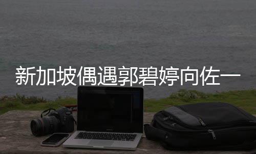 新加坡偶遇郭碧婷向佐一家，星光熠熠的親子游