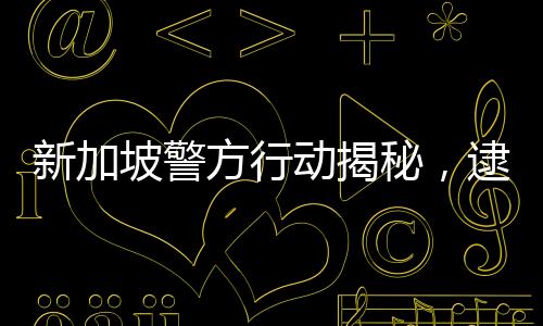 新加坡警方行動(dòng)揭秘，逮捕九人與DeepSeek傳聞的背后真相揭秘