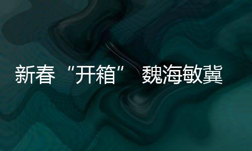 新春“開箱” 魏海敏冀兩岸共同弘揚(yáng)傳統(tǒng)戲曲