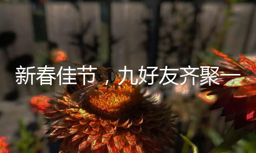 新春佳節(jié)，九好友齊聚一堂共賀父母新年祝福