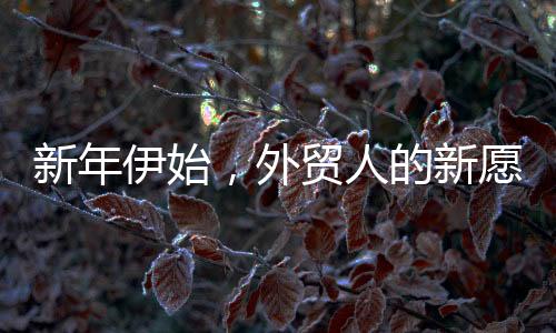 新年伊始，外貿(mào)人的新愿景——在外貿(mào)行業(yè)中探索前行的心路歷程