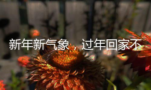 新年新氣象，過年回家不玩手機(jī)，這些事情值得一試