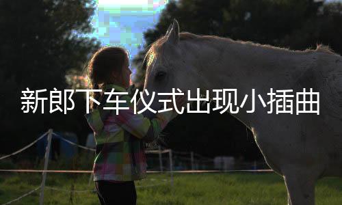 新郎下車儀式出現(xiàn)小插曲，重新開啟幸福旅程