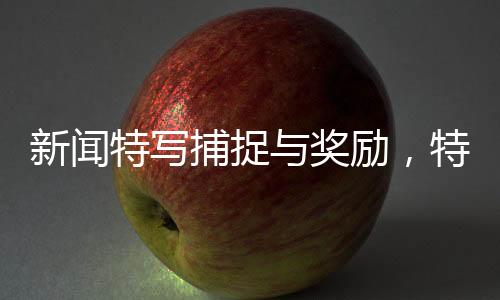 新聞特寫捕捉與獎勵，特殊環(huán)境下的蚊子捕獲任務(wù)，獎勵機(jī)制引熱議