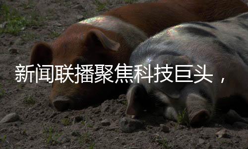 新聞聯(lián)播聚焦科技巨頭，王傳福與雷軍共同亮相熒屏大放異彩