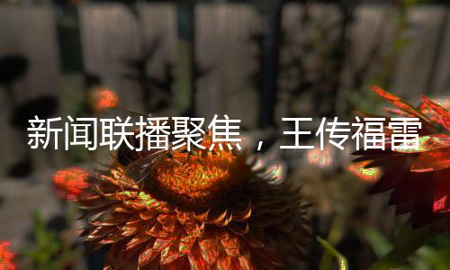 新聞聯(lián)播聚焦，王傳福雷軍等商界巨頭亮相舞臺(tái)