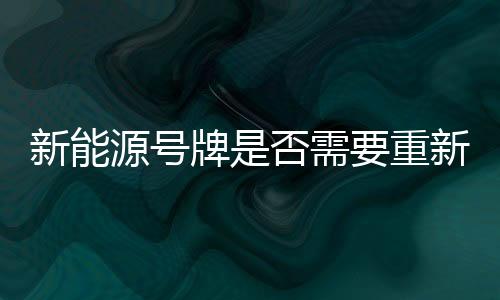 新能源號(hào)牌是否需要重新設(shè)計(jì)，深度探討與多元視角分析