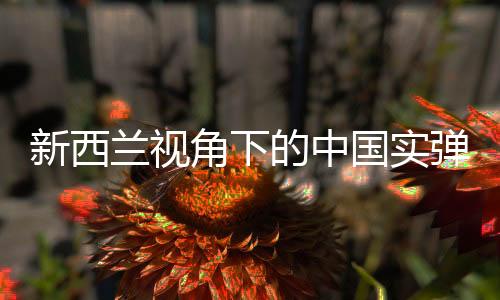 新西蘭視角下的中國(guó)實(shí)彈演習(xí)，符合國(guó)際法的實(shí)踐