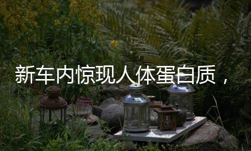 新車內(nèi)驚現(xiàn)人體蛋白質(zhì)，引發(fā)熱議