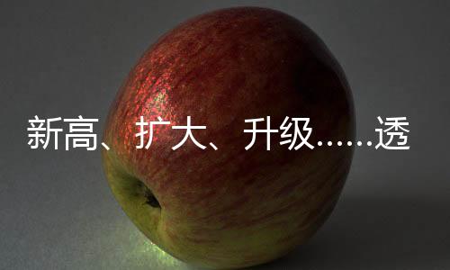 新高、擴大、升級……透過關(guān)鍵詞看外企堅定投資中國