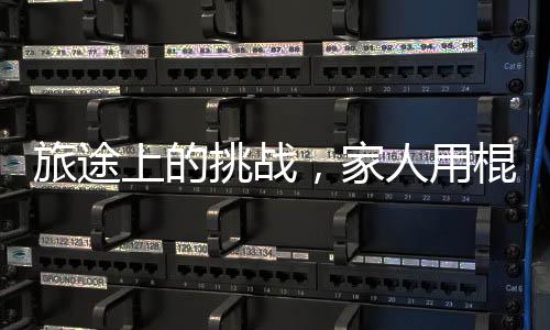 旅途上的挑戰(zhàn)，家人用棍子抬著一只不愿行走的狗子的奇妙旅程