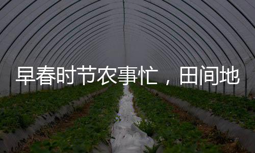 早春時節(jié)農(nóng)事忙，田間地頭見繁忙景象