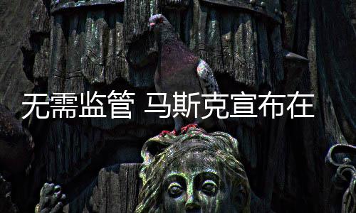 無需監(jiān)管 馬斯克宣布在美推出全新FSD付費服務(wù)版本