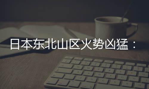 日本東北山區(qū)火勢兇猛：燒毀面積已達(dá)約1800公頃