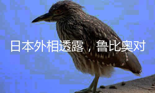 日本外相透露，魯比奧對(duì)中國(guó)態(tài)度轉(zhuǎn)向，不再那么強(qiáng)硬？