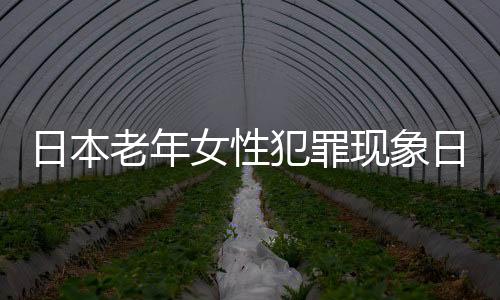 日本老年女性犯罪現(xiàn)象日益嚴(yán)重，多重因素引發(fā)關(guān)注熱點(diǎn)