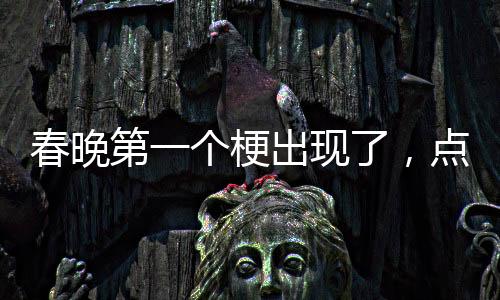 春晚第一個(gè)梗出現(xiàn)了，點(diǎn)燃全民歡樂之夜的一把火