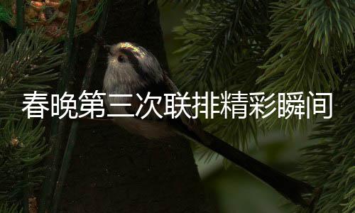 春晚第三次聯(lián)排精彩瞬間不斷，舞臺秒變秀場