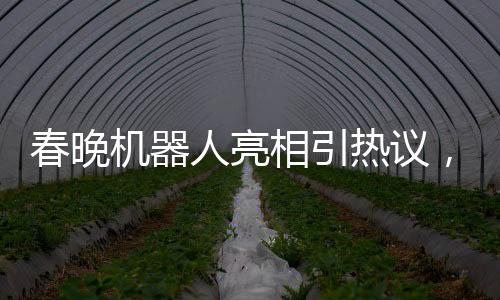 春晚機(jī)器人亮相引熱議，下場(chǎng)時(shí)腳步引發(fā)關(guān)注