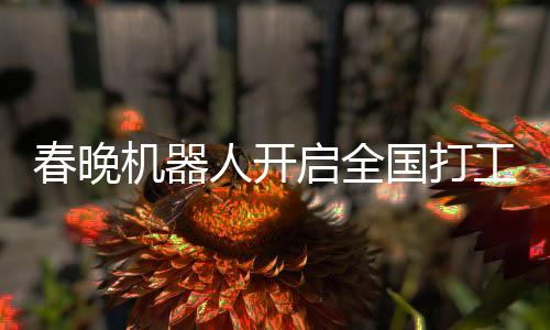 春晚機(jī)器人開啟全國打工熱潮，引領(lǐng)智能時(shí)代新篇章