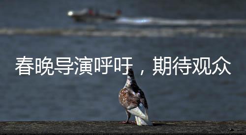 春晚導(dǎo)演呼吁，期待觀眾對我們多一些寬容