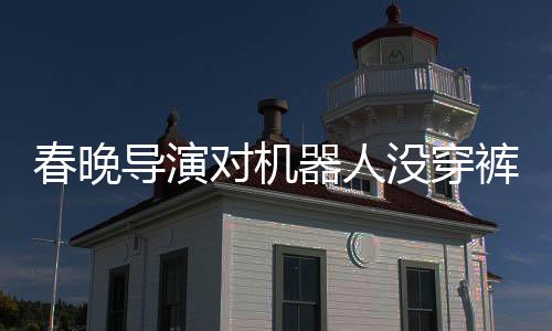 春晚導(dǎo)演對機(jī)器人沒穿褲子事件回應(yīng)全文