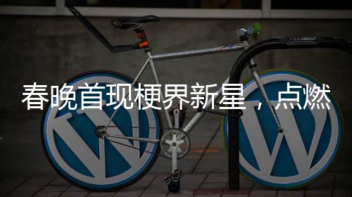 春晚首現(xiàn)梗界新星，點(diǎn)燃全民歡樂(lè)之夜