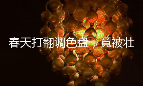 春天打翻調(diào)色盤，竟被壯鄉(xiāng)人蒸成了飯！