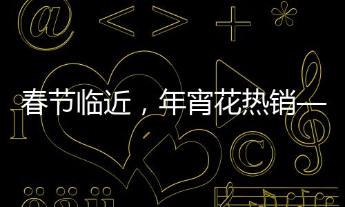 春節(jié)臨近，年宵花熱銷——花卉市場的熱鬧與繁榮