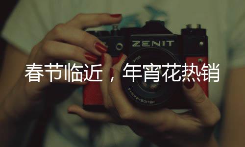 春節(jié)臨近，年宵花熱銷